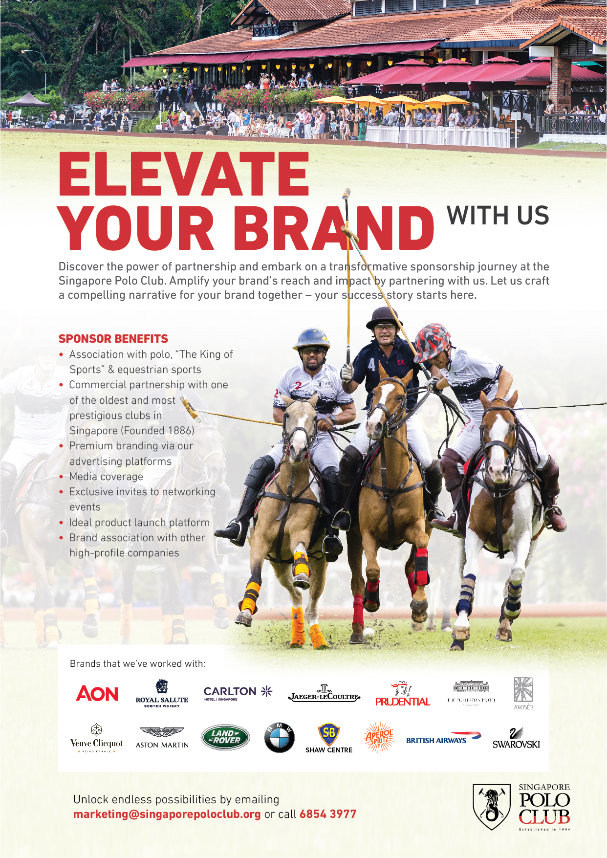 Elevate Your Brand With Us