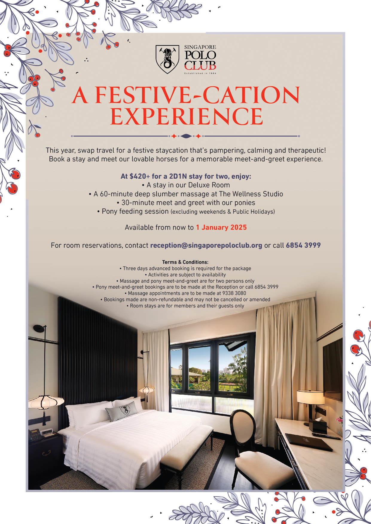 A Festive cation Experience2