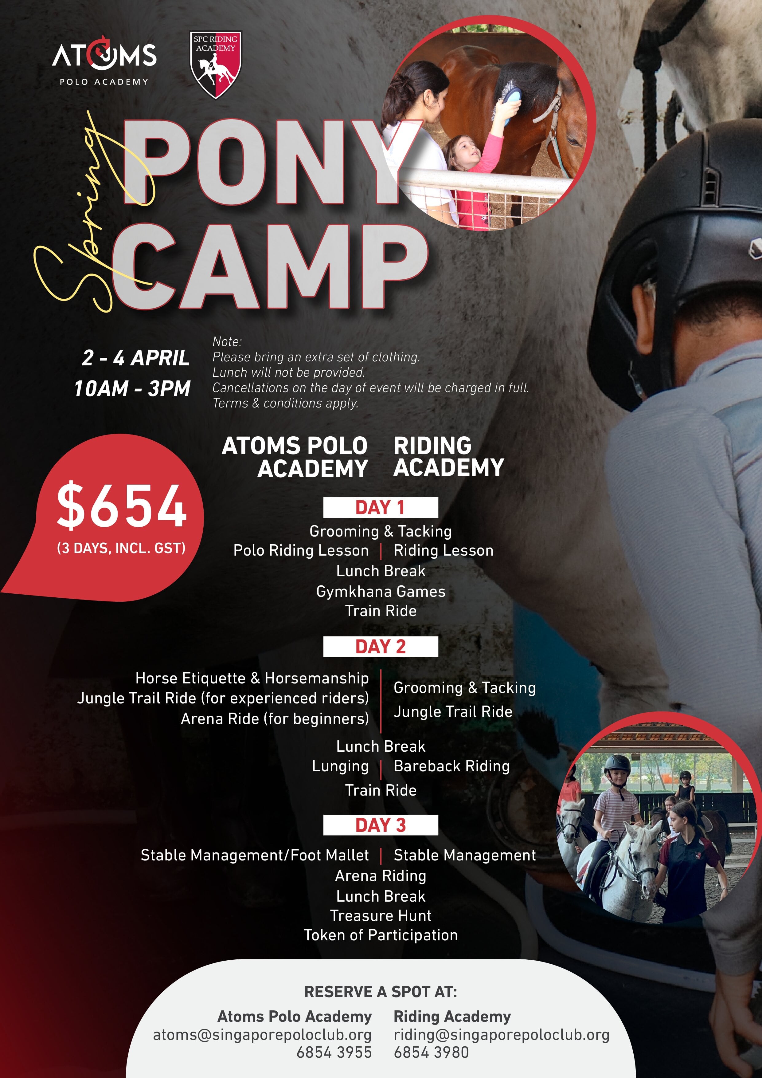 Spring Pony Camp Poster compress