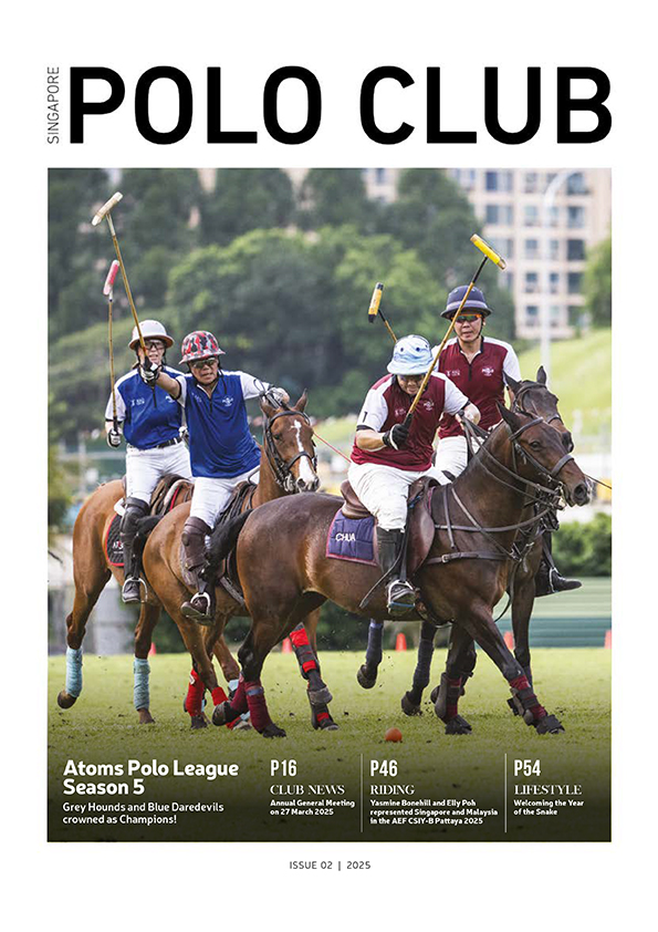 Issue #02/2025