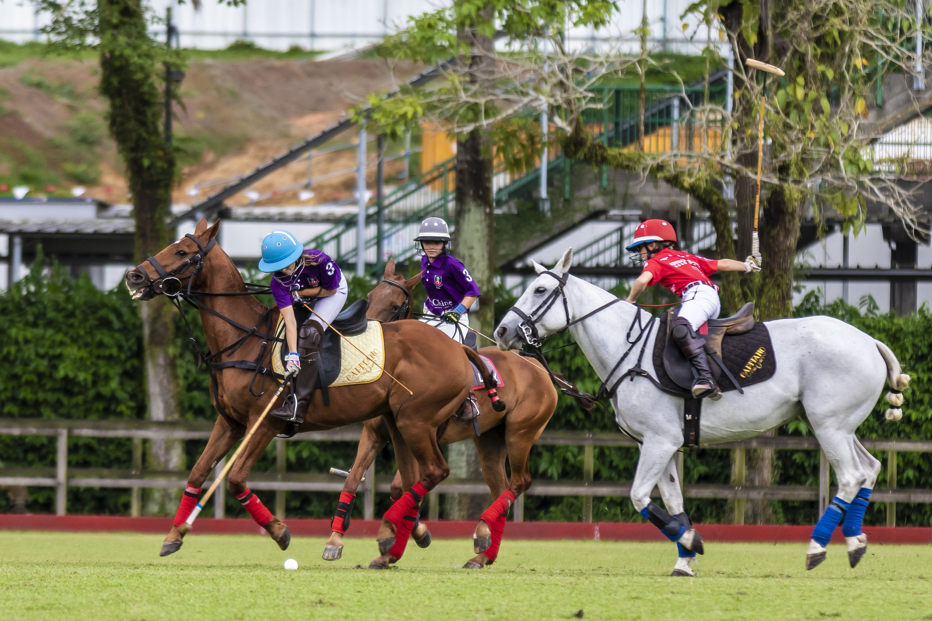 Youth Polo Challenge – North Junior Cup